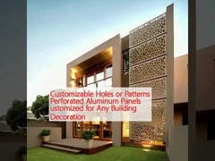 Anpassungsfähige Löcher oder Muster Perforierten Aluminiumplatten für jede Gebäudekoration angepasst